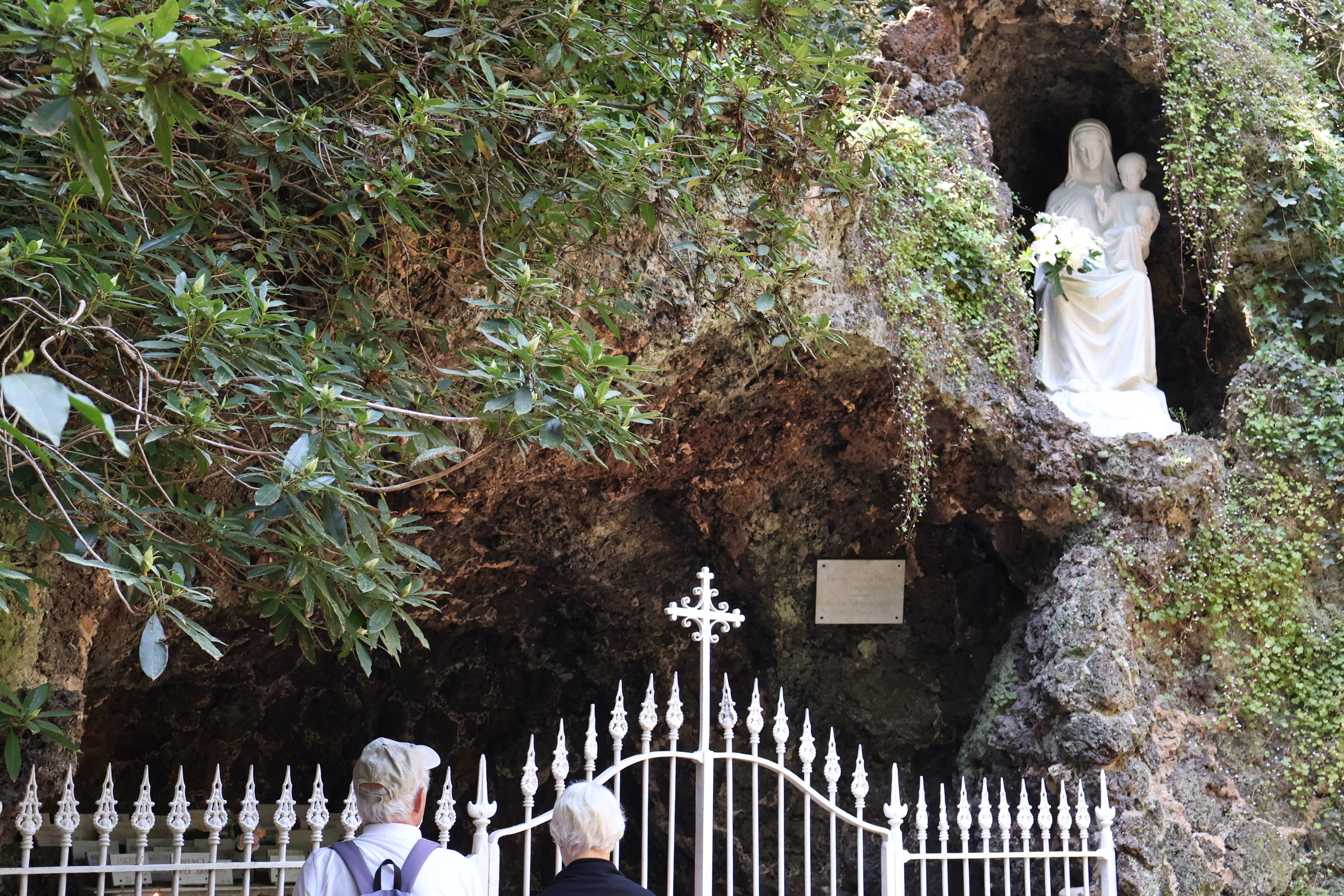 forêt de Brocéliande